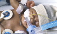 Early birth rate increases