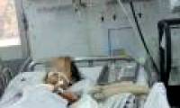 Early signs of Japanese encephalitis