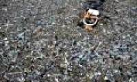 Earth buckles under environmental disasters