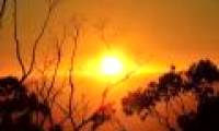 Earth warms very fast in the next 10 years