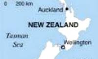 Earthquake caused tsunami in New Zealand