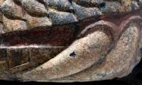 Earthquake causes 1.3-ton treasure to appear in the middle of university