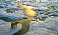 Earth's temperature could rise up to 4°C by the end of this century