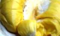 Eat durian after drinking: Warning for poisoning