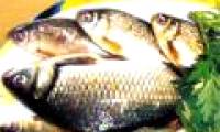 Eat fish to stay healthy