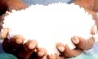 Eating a lot of salt makes children get up late