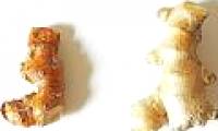 Eating ginger or galangal better?