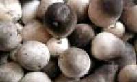 Eating mushrooms can prevent cancer but not eat meat or fish