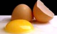 Eating too much cholesterol can damage the brain