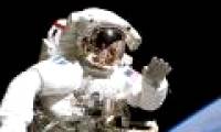 Effect of gravity on the immune system