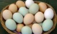 Eggs are the best source of energy