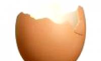 Eggshell can help sustaining the climate change!