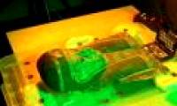 Egyptian mummy 3,000 years of eternal rest by the people of today