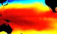 El Niño will make the bacterial community migrate across the continent