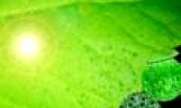 Energy from artificial leaves