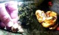 English: Found the largest natural gold bureau after 500 years, cost 1.5 billion