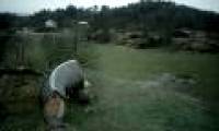 Enjoy watching the ecological house ... snail picture