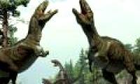 Erotic dance of carnivorous dinosaurs