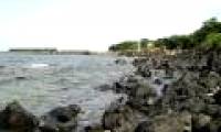 Establishment of Con Co island marine protected area