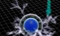 Evidence of life may exist in the parallel universe
