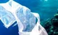 Evolutionary bacteria can eat plastic to contaminate the ocean