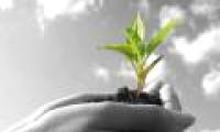 Exam creative ideas for the Vietnamese environment