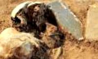 Excavating grave neck, finding Cao Cao remains?