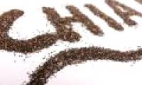Excellent use of chia seeds for health