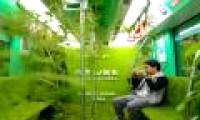Experience 'one get two': take a train to visit 'jungle'
