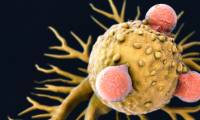 Experiment shows Covid virus can shrink tumors of 4 types of late-stage cancer