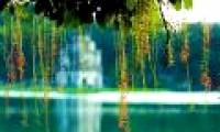 Experiment with sludge separation of Sword Lake