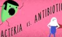 Experts have warned about antibiotic resistance