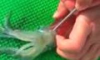 Explain why the ink changes color when being changed