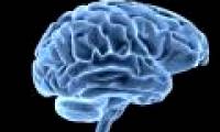 Explaining the phenomenon of human brain developing large size