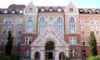 Explaining the phenomenon of Hungary