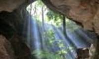 Explore ancient Mayan residences