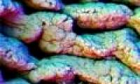 Extremely interesting images of the human body