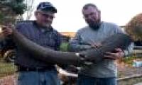 Farmers discovered the legendary mastodon 'super elephant' in the middle of the field