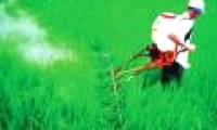 Farmers make multi-purpose spraying kits