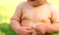 Fat cells are the key to treating obesity