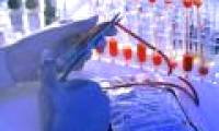 Filter blood lead with a magnetic field