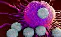 Find a mechanism that makes cancer 'avoid' chemotherapy