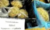 Find deadly E. coli bacteria on bean sprouts
