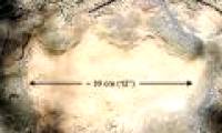 Find dinosaur footprints at NASA's center