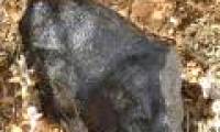 Find evidence of alien life