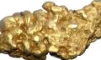 Find gold with bacteria