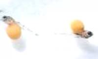 Find out how to help people teething unlimited