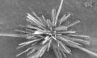 Find out how to 'recycle' carbon dioxide into plastic
