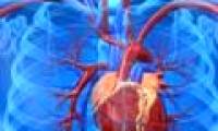 Find out how to regenerate the number of heart muscle cells