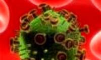 Find out the 'invisible cover' of the HIV virus